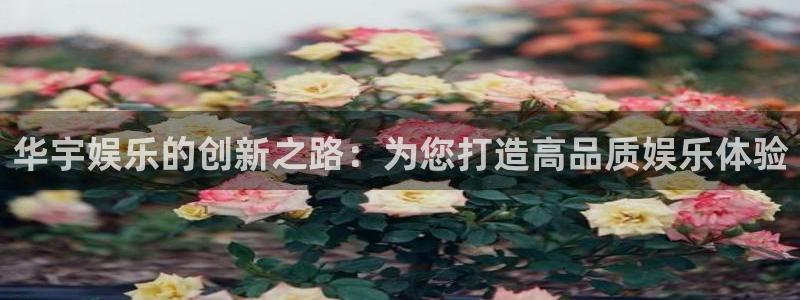 upload/20250701114914.jpg