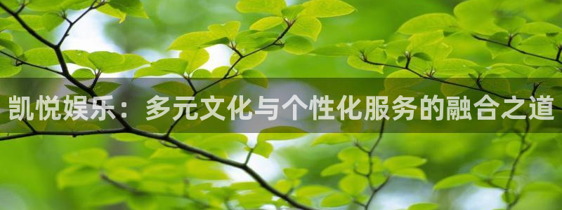 upload/20250701114914.jpg