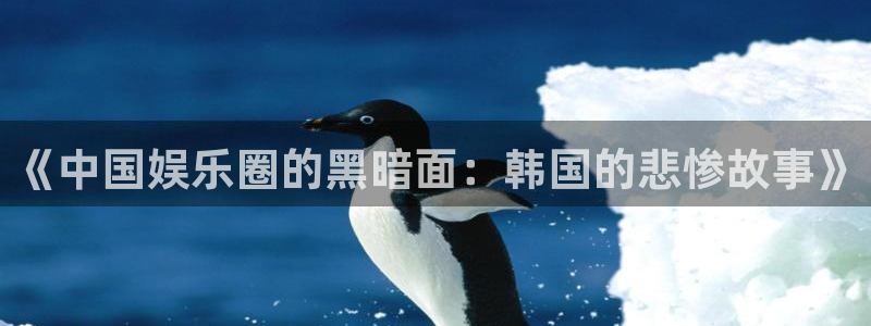安信12最新版本更新内容：《中国娱乐圈的黑暗面：韩国的悲惨故事》